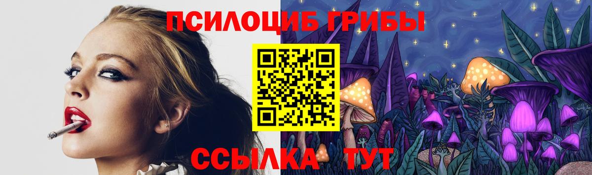 цена   Вход с VPN  Россошь  Псилоцибиновые грибы Magic Shrooms 